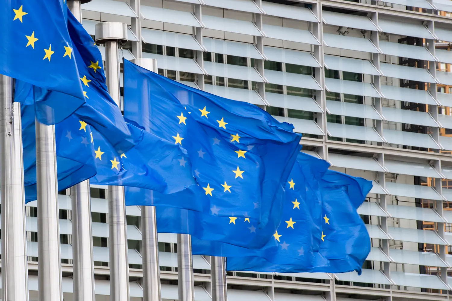 photo des drapeaux de l'UE